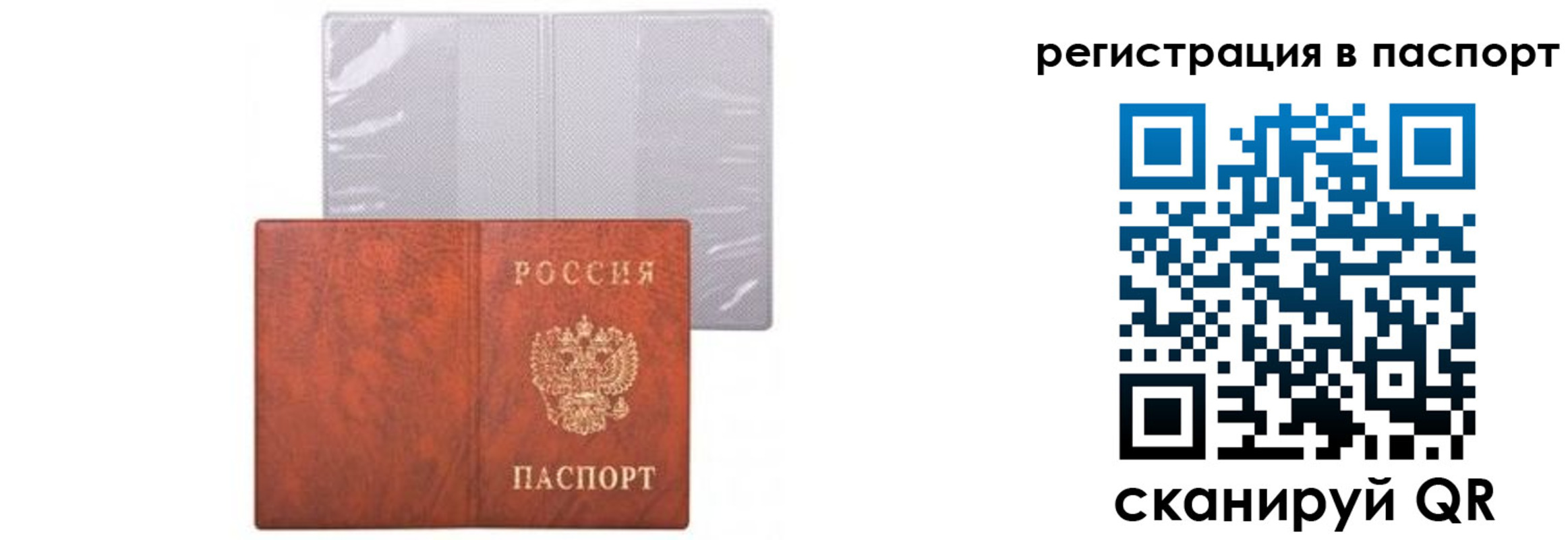 прописка ребенка в Александровске-Сахалинском